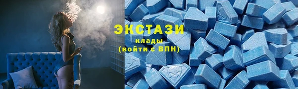 соль ск Козельск