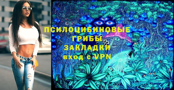шишки Киреевск