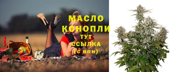 соль ск Козельск