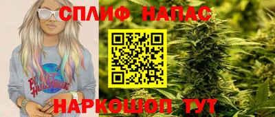 прущие грибы Дубна