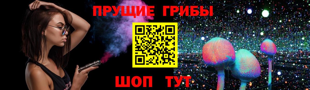 Лысьва  Псилоцибиновые грибы Psilocybe  Вход с VPN 